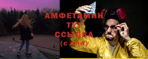 дживик Абаза