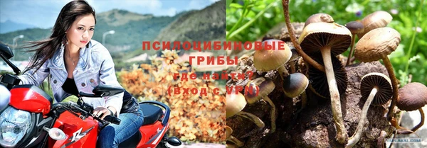 стаф Тобольск