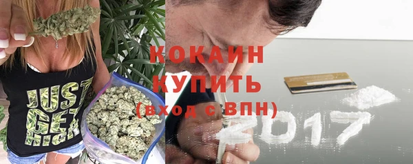 дживик Абаза