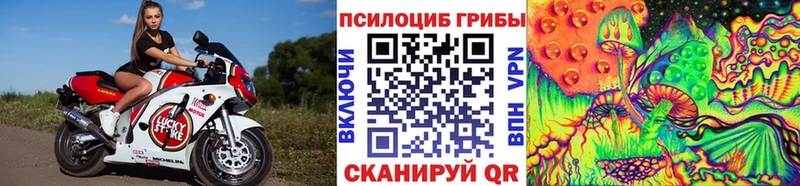 нарко площадка как зайти Усолье Галлюциногенные грибы мицелий